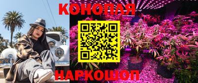 винт Аргун