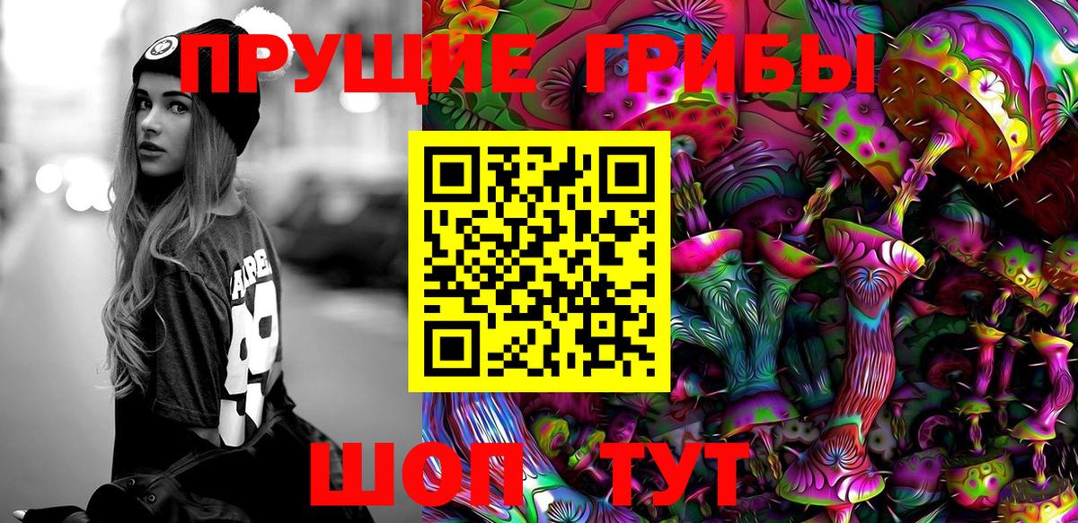 Псилоцибиновые грибы Psilocybine cubensis Вязьма
