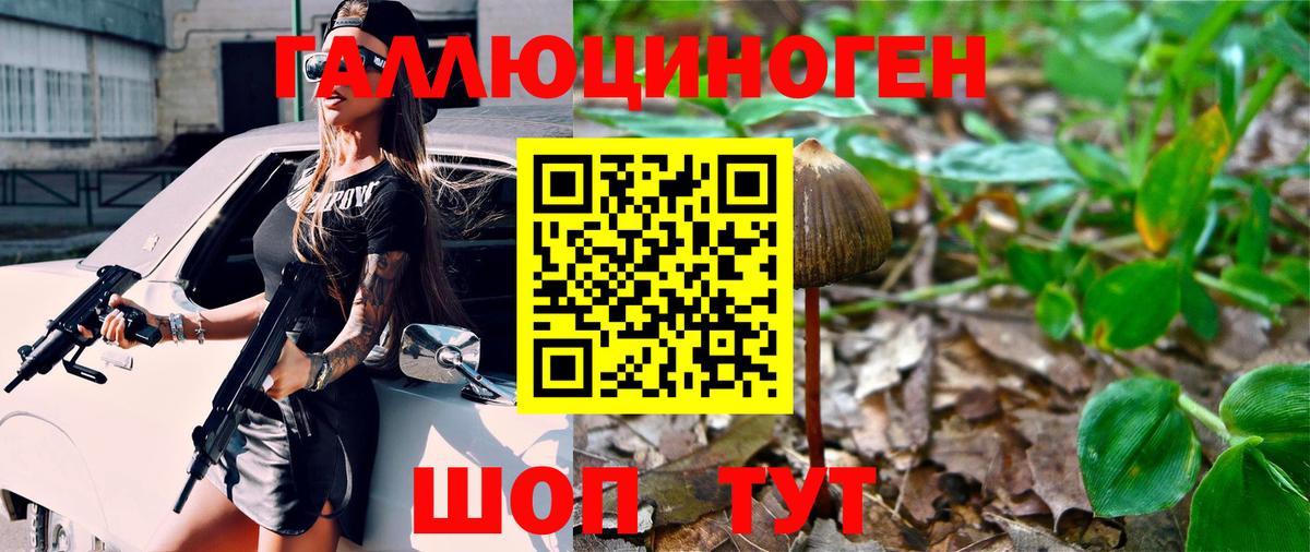 Вязьма  Галлюциногенные грибы мухоморы  Вход с VPN 